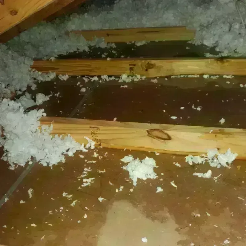 Attic Water Damage in Falls City, NE