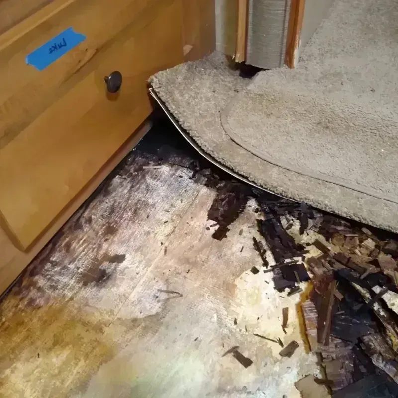 Wood Floor Water Damage in Falls City, NE